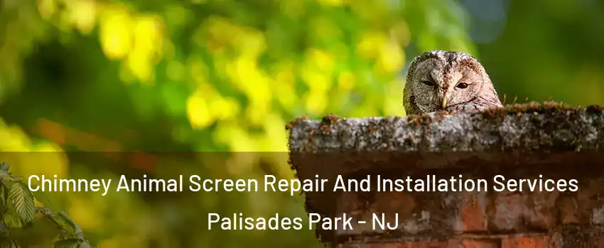  Chimney Animal Screen Repair And Installation Services Palisades Park - NJ