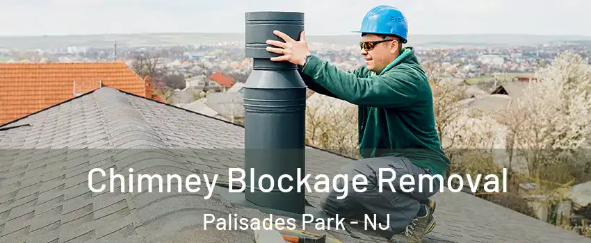  Chimney Blockage Removal Palisades Park - NJ