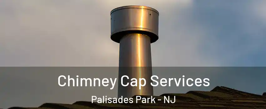  Chimney Cap Services Palisades Park - NJ