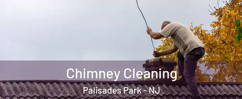  Chimney Cleaning Palisades Park - NJ