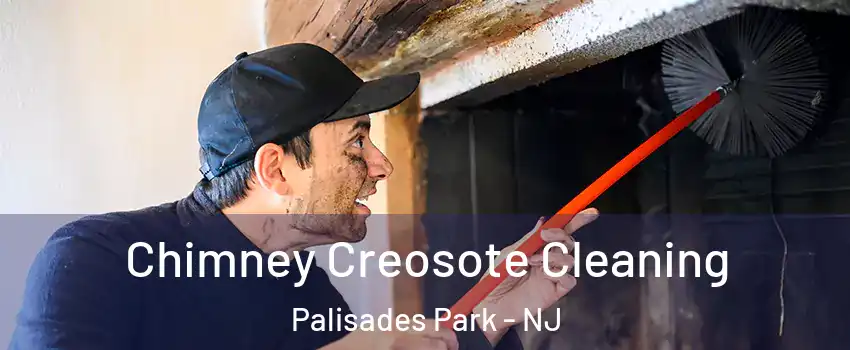  Chimney Creosote Cleaning Palisades Park - NJ