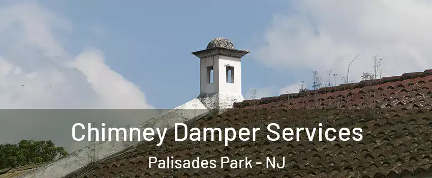  Chimney Damper Services Palisades Park - NJ