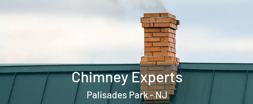 Chimney Experts Palisades Park - NJ