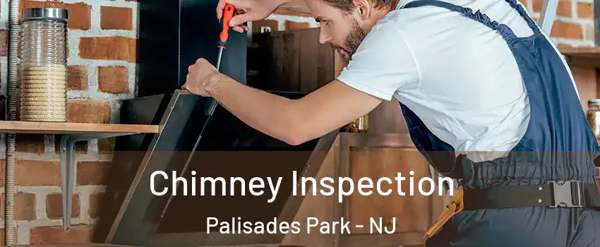  Chimney Inspection Palisades Park - NJ