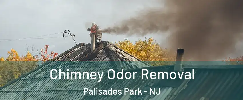  Chimney Odor Removal Palisades Park - NJ