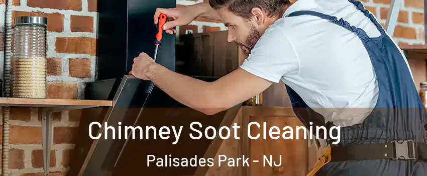  Chimney Soot Cleaning Palisades Park - NJ