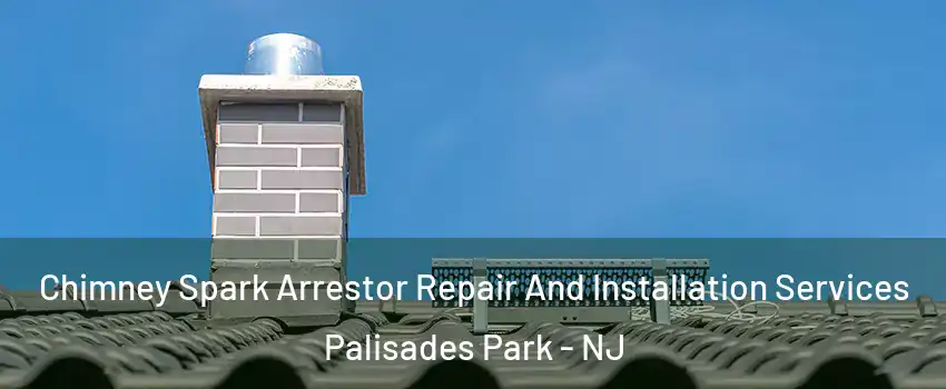  Chimney Spark Arrestor Repair And Installation Services Palisades Park - NJ