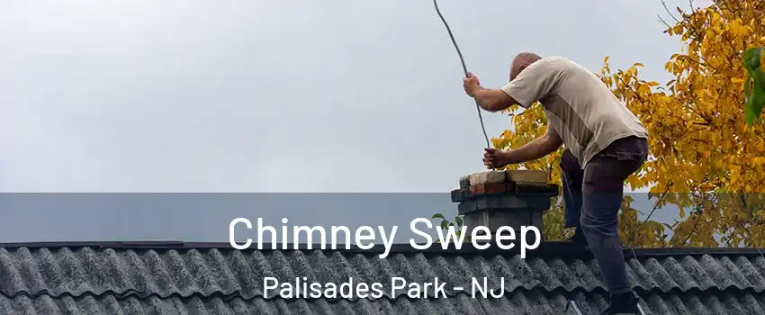  Chimney Sweep Palisades Park - NJ