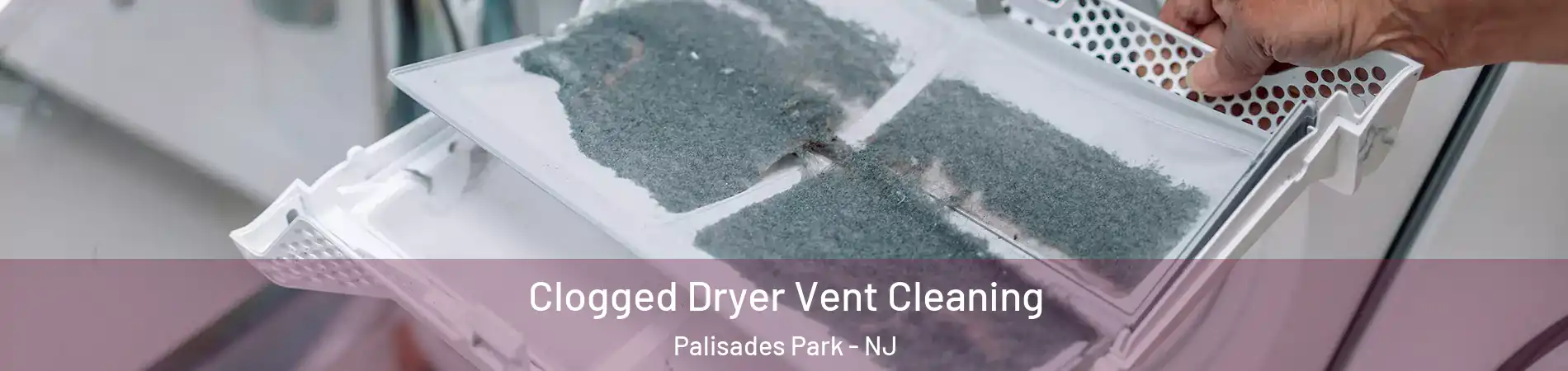  Clogged Dryer Vent Cleaning Palisades Park - NJ