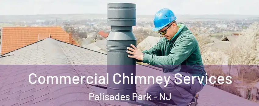  Commercial Chimney Services Palisades Park - NJ