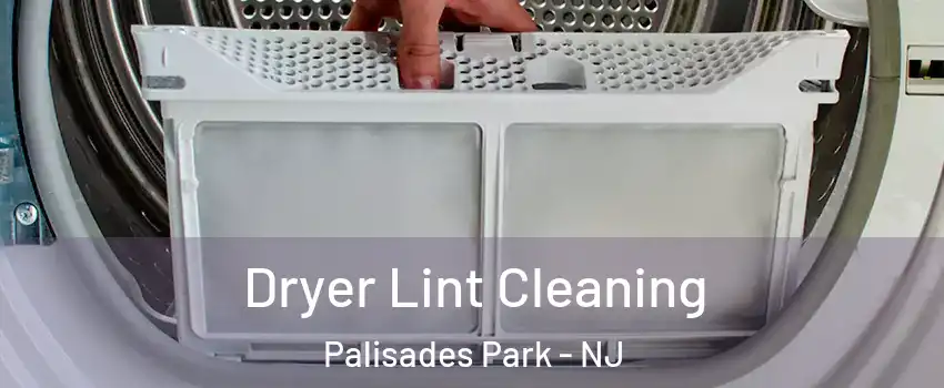  Dryer Lint Cleaning Palisades Park - NJ