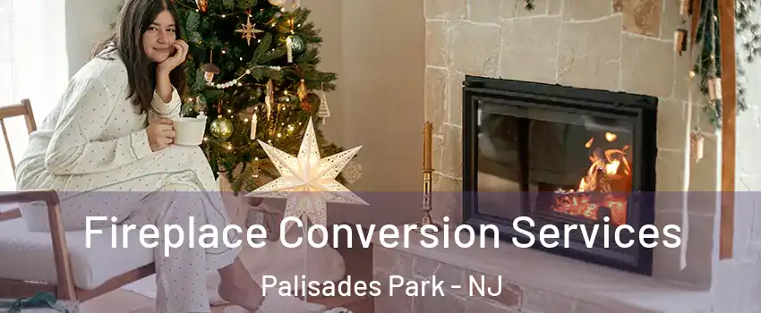  Fireplace Conversion Services Palisades Park - NJ