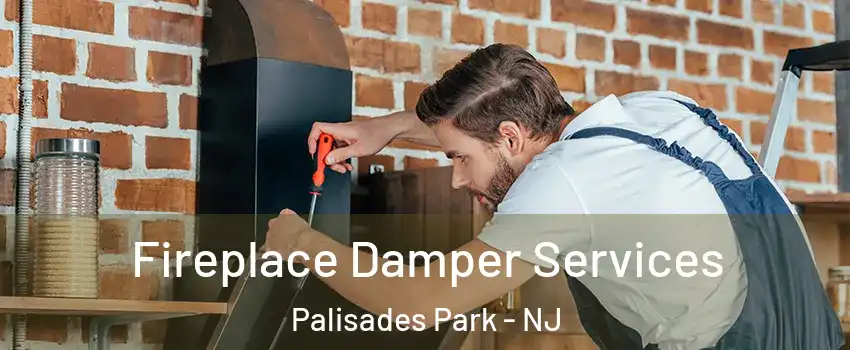  Fireplace Damper Services Palisades Park - NJ