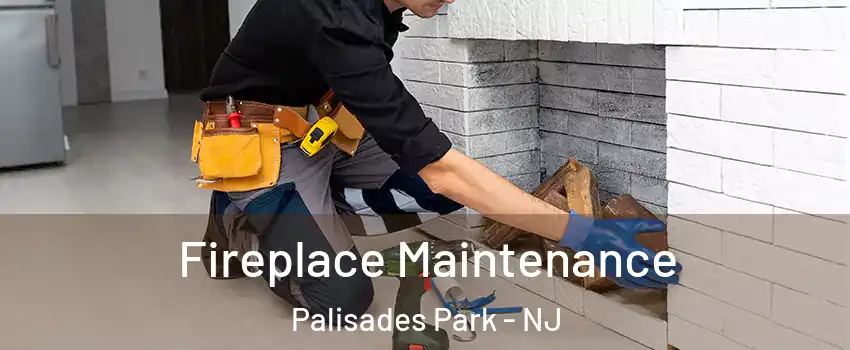 Fireplace Maintenance Palisades Park - NJ