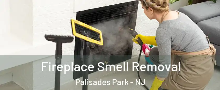 Fireplace Smell Removal Palisades Park - NJ