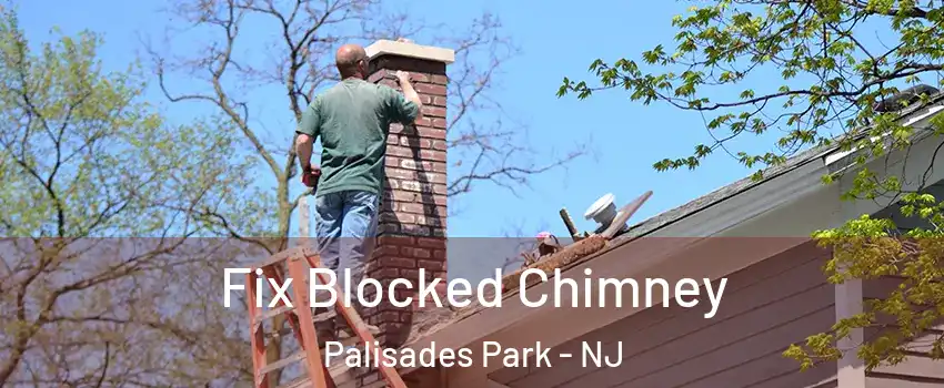  Fix Blocked Chimney Palisades Park - NJ