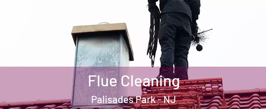  Flue Cleaning Palisades Park - NJ