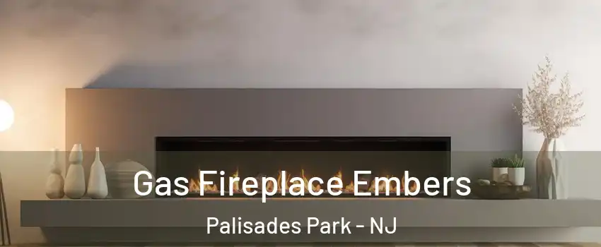  Gas Fireplace Embers Palisades Park - NJ