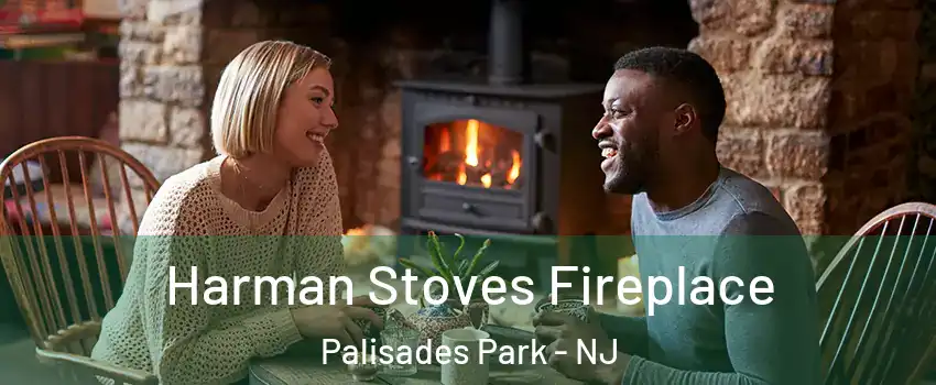  Harman Stoves Fireplace Palisades Park - NJ