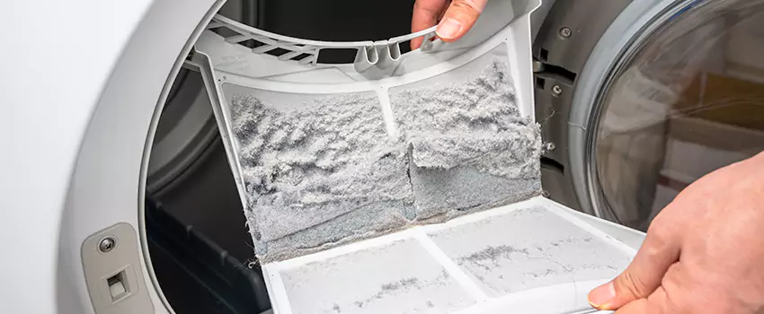Best Dryer Lint Removal Company in Palisades Park, New Jersey
