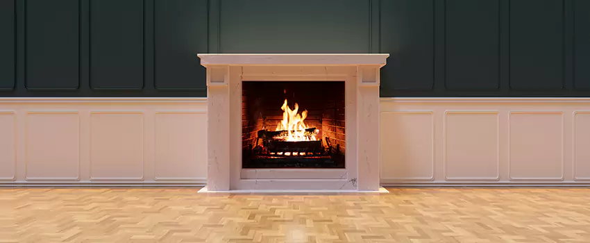 Napoleon Electric Fireplaces Inspection Service in Palisades Park, New Jersey