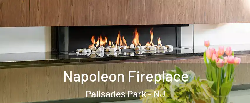  Napoleon Fireplace Palisades Park - NJ