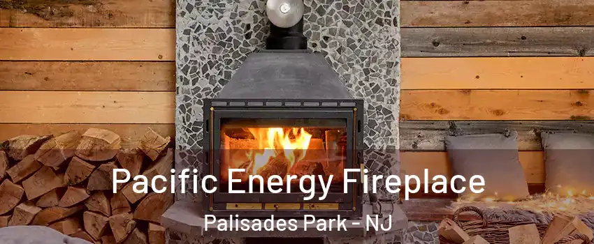  Pacific Energy Fireplace Palisades Park - NJ