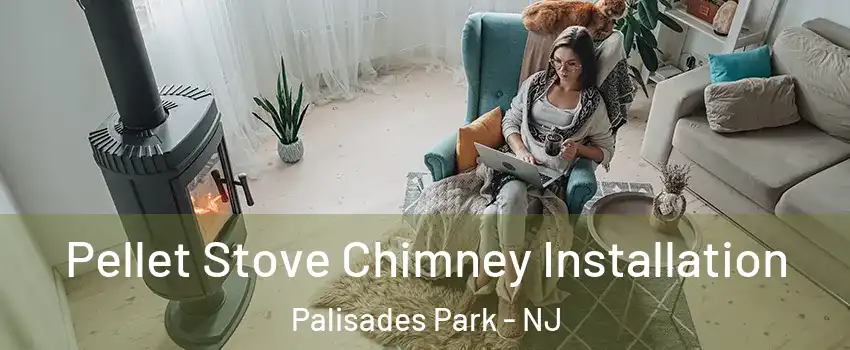  Pellet Stove Chimney Installation Palisades Park - NJ