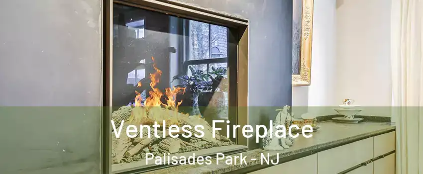 Ventless Fireplace Palisades Park - NJ